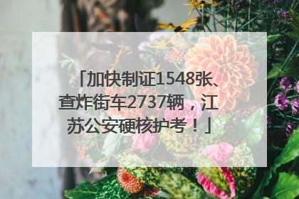 加快制证1548张、查炸街车2737辆，江苏公安硬核护考！