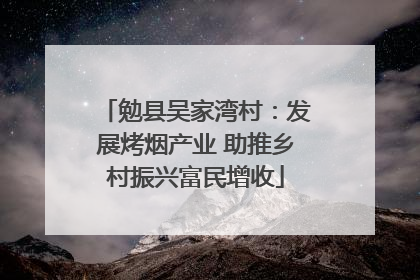 勉县吴家湾村：发展烤烟产业 助推乡村振兴富民增收