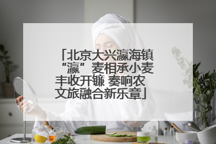 北京大兴瀛海镇“瀛”麦相承小麦丰收开镰 奏响农文旅融合新乐章