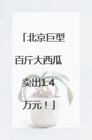 北京巨型百斤大西瓜卖出1.4万元！