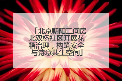 北京朝阳三间房北双桥社区开展花箱治理，构筑安全与诗意共生空间