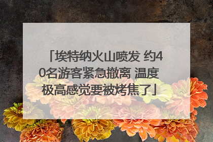 埃特纳火山喷发 约40名游客紧急撤离 温度极高感觉要被烤焦了
