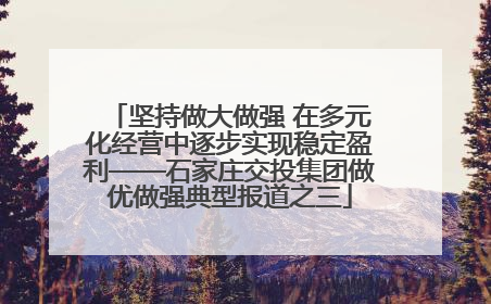 坚持做大做强 在多元化经营中逐步实现稳定盈利——石家庄交投集团做优做强典型报道之三
