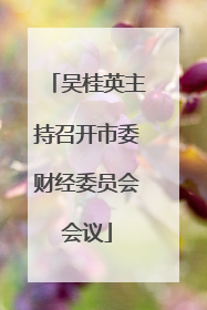 吴桂英主持召开市委财经委员会会议