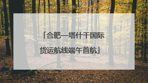 合肥—塔什干国际货运航线端午首航