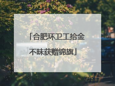 合肥环卫工拾金不昧获赠锦旗