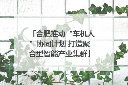 合肥推动“车机人”协同计划 打造聚合型智能产业集群