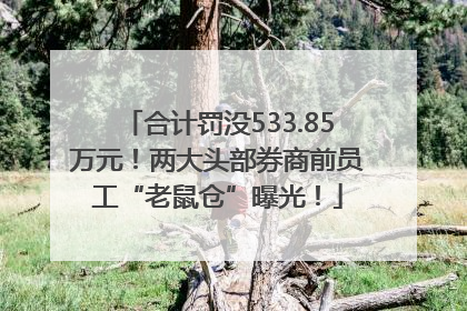 合计罚没533.85万元！两大头部券商前员工“老鼠仓”曝光！