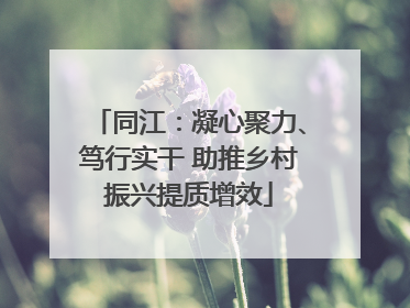 同江：凝心聚力、笃行实干 助推乡村振兴提质增效