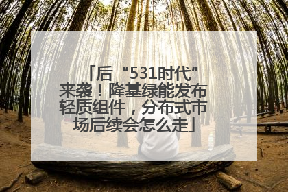 后“531时代”来袭！隆基绿能发布轻质组件，分布式市场后续会怎么走