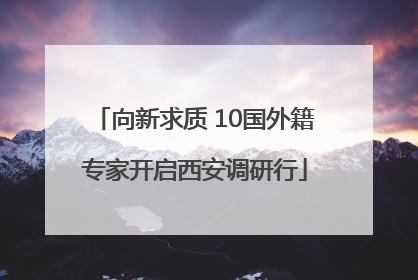 向新求质 10国外籍专家开启西安调研行