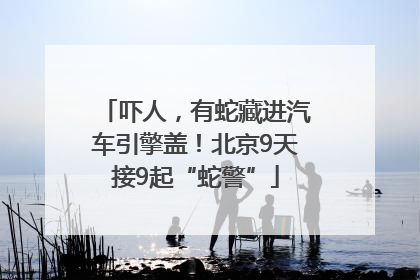 吓人，有蛇藏进汽车引擎盖！北京9天接9起“蛇警”