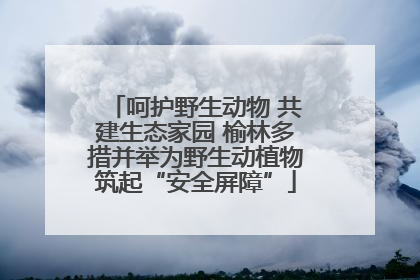 呵护野生动物 共建生态家园 榆林多措并举为野生动植物筑起“安全屏障”