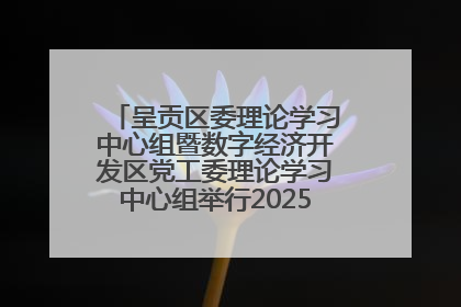 呈贡区委理论学习中心组暨数字经济开发区党工委理论学习中心组举行2025年第七次学习会议