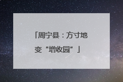 周宁县：方寸地变“增收园”