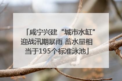 咸宁兴建“城市水缸”迎战汛期暴雨 蓄水量相当于195个标准泳池