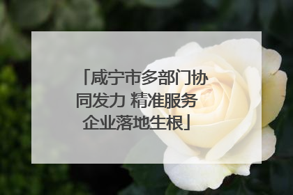 咸宁市多部门协同发力 精准服务企业落地生根