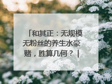 和其正：无规模无粉丝的养生水豪赌，胜算几何？｜品牌观察