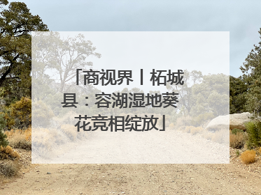 商视界丨柘城县：容湖湿地葵花竞相绽放