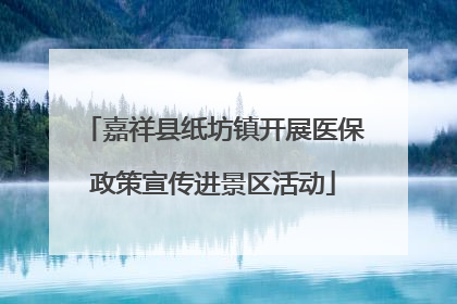 嘉祥县纸坊镇开展医保政策宣传进景区活动