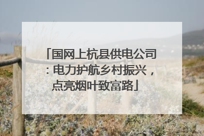 国网上杭县供电公司：电力护航乡村振兴，点亮烟叶致富路