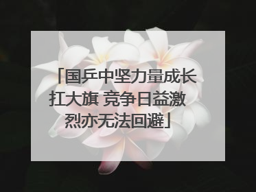国乒中坚力量成长扛大旗 竞争日益激烈亦无法回避