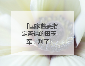 国家监委指定管辖的田玉军，判了