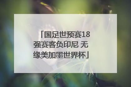 国足世预赛18强赛客负印尼 无缘美加墨世界杯