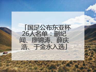 国足公布东亚杯26人名单：蒯纪闻、廖锦涛、薛庆浩、于金永入选