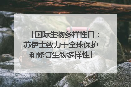 国际生物多样性日：苏伊士致力于全球保护和修复生物多样性