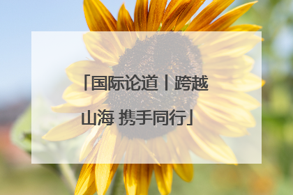 国际论道丨跨越山海 携手同行
