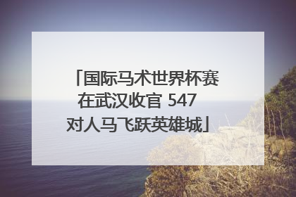 国际马术世界杯赛在武汉收官 547对人马飞跃英雄城