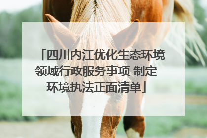 四川内江优化生态环境领域行政服务事项 制定环境执法正面清单