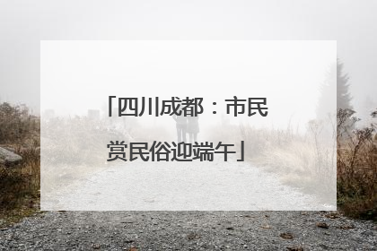 四川成都：市民赏民俗迎端午
