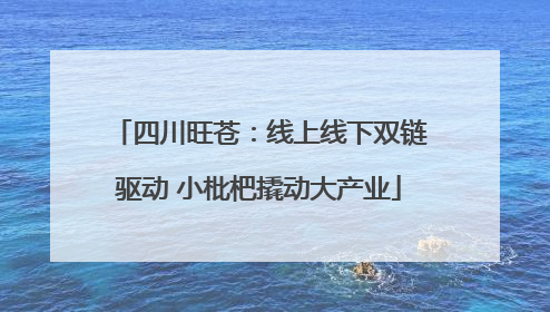 四川旺苍：线上线下双链驱动 小枇杷撬动大产业