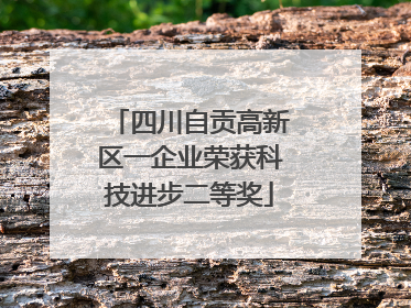 四川自贡高新区一企业荣获科技进步二等奖