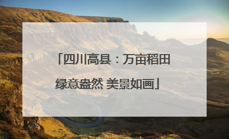 四川高县：万亩稻田绿意盎然 美景如画