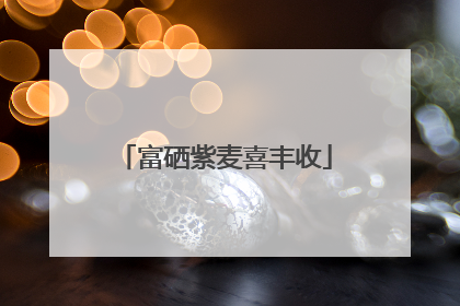 富硒紫麦喜丰收