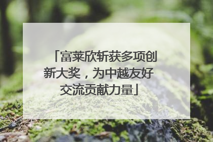 富莱欣斩获多项创新大奖，为中越友好交流贡献力量