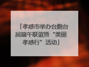 孝感市举办台胞台属端午联谊暨“美丽孝感行”活动