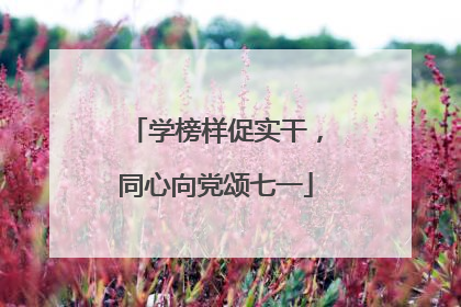学榜样促实干，同心向党颂七一