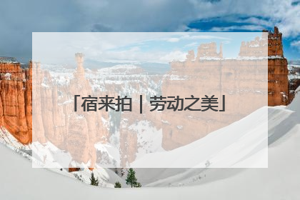 宿来拍｜劳动之美