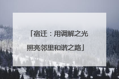 宿迁：用调解之光照亮邻里和谐之路