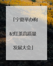 宁夏举办枸杞红茶高质量发展大会