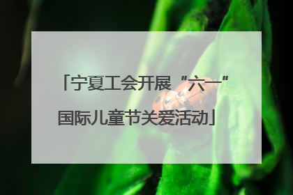 宁夏工会开展“六一”国际儿童节关爱活动