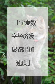 宁夏数字经济发展跑出加速度