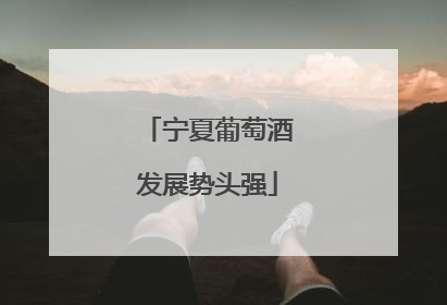 宁夏葡萄酒发展势头强