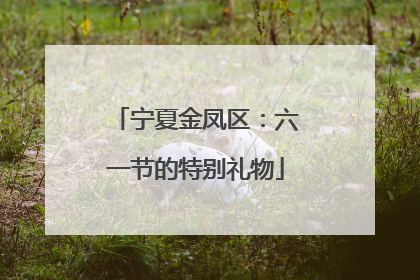 宁夏金凤区：六一节的特别礼物