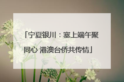 宁夏银川：塞上端午聚同心 港澳台侨共传情