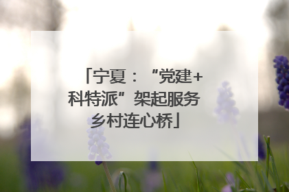 宁夏：“党建+科特派”架起服务乡村连心桥